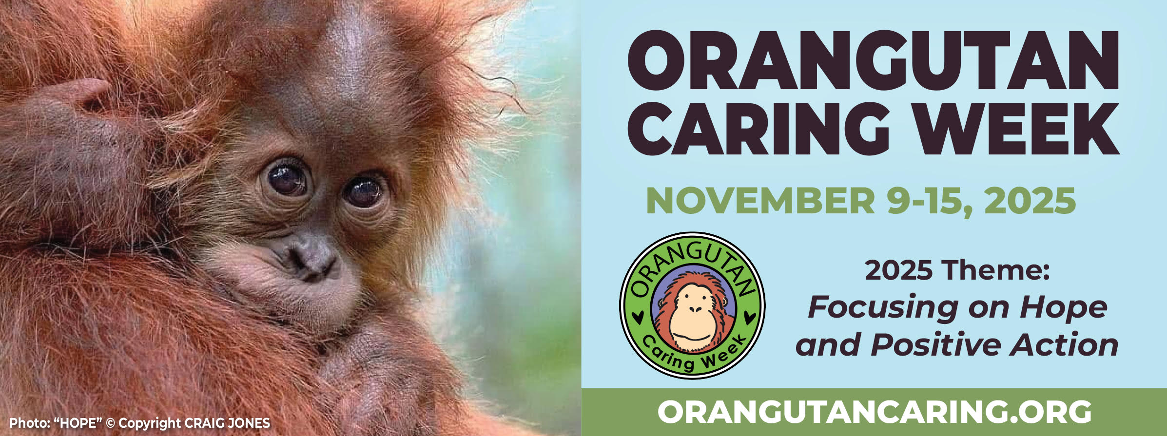 Focusing on Hope and Positive Action