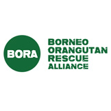 BORNEO ORANGUTAN RESCUE ALLIANCE