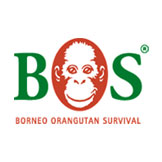 BORNEO ORANGUTAN SURVIVAL DEUTSCHLAND