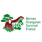 Borneo Orangutan Survival France
