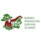 BORNEO ORANGUTAN SURVIVAL SCHWEIZ