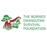BORNEO ORANGUTAN SURVIVAL FOUNDATION