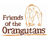 FRIENDS OF THE ORANGUTANS