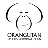 ORANGUTAN SPECIES SURVIVAL PLAN (SSP)