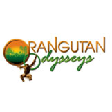 ORANGUTAN ODYSSEYS