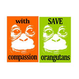 SAVE  ORANGUTANS / COMPASSION AND SOUL