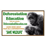 DEFORESTATION EDUCATION
