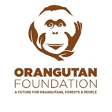 ORANGUTAN FOUNDATION