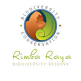 RIMBA RAYA (AN INFINITEEARTH™ PROJECT)