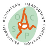 SUMATRAN ORANGUTAN CONSERVATION PROGRAMME – SOCP