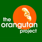 THE ORANGUTAN PROJECT